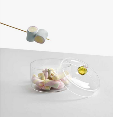 Desert Plant Cactus Box