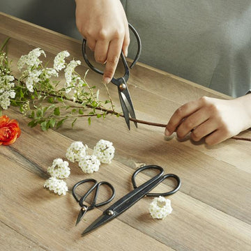 Scissor Set for Garden