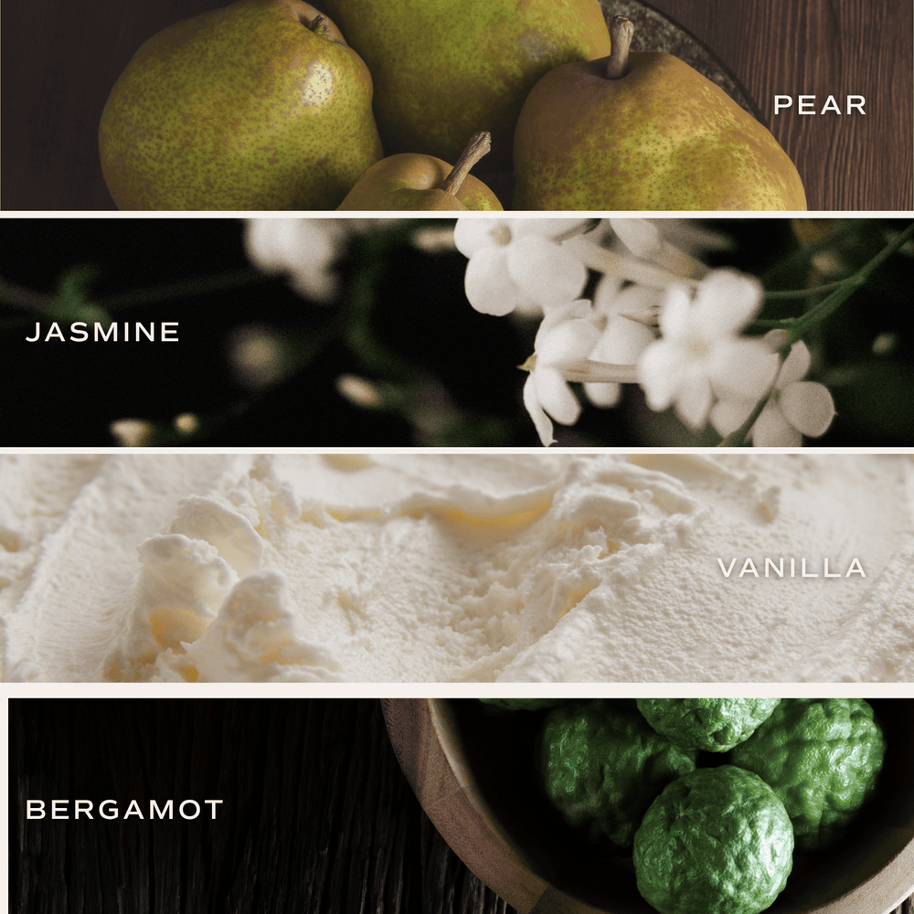 Cashmere & Vanilla Reed Diffuser