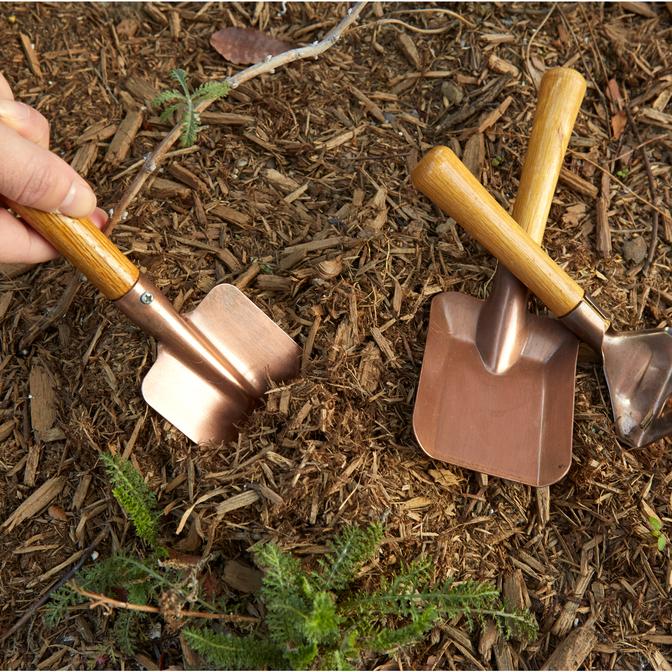 The Gardening Gift