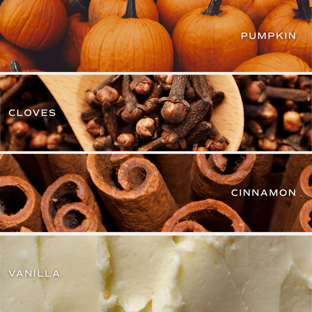 Pumpkin Spice Reed Diffuser