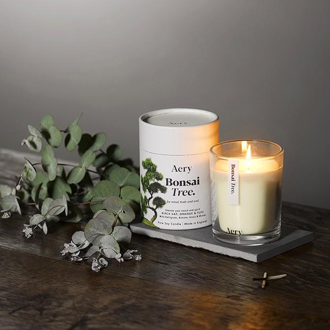 Bonsai Tree Candle - Birch Sap Orange Yuzu