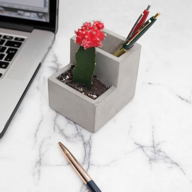 CONCRETE SMALL PLANTER AND PEN HOLDER